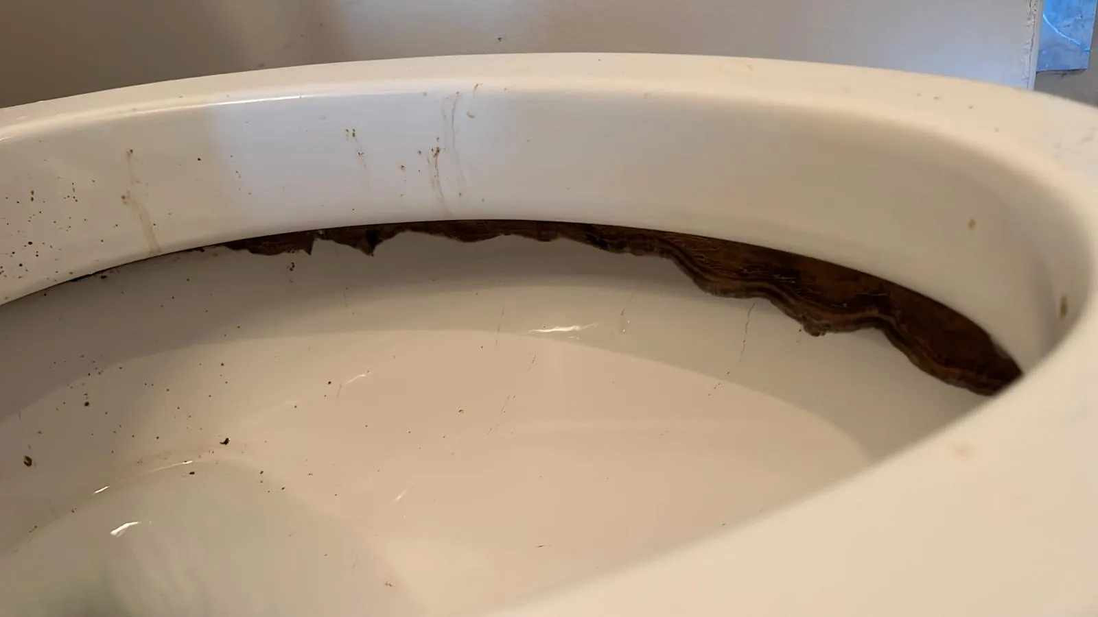 Before Cleaning